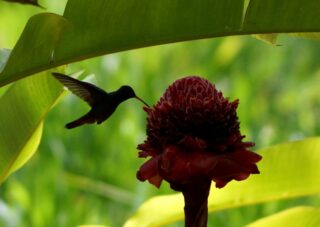 Barichara, Colombian Highlands Tours (1)