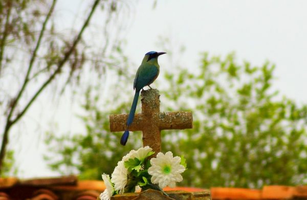 Barichara, Colombian Highlands Tours (6)