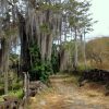 Barichara to Guane, Colombian Highlands Tours (12)