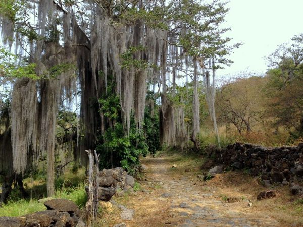 Barichara to Guane, Colombian Highlands Tours (12) Barichara to Guane, Colombian Highlands Tours (12)