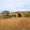 Barichara to Guane, Colombian Highlands Tours (13)