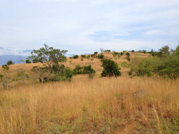 Barichara to Guane, Colombian Highlands Tours (13) Barichara to Guane, Colombian Highlands Tours (13)