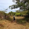 Barichara to Guane, Colombian Highlands Tours (14)