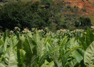 Barichara to Guane, Colombian Highlands Tours (3)