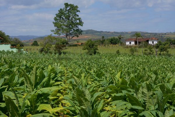 Barichara to Guane, Colombian Highlands Tours (4) Barichara to Guane, Colombian Highlands Tours (4)