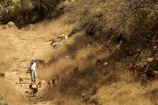 Barichara to Guane, Colombian Highlands Tours (7) Barichara to Guane, Colombian Highlands Tours (7)