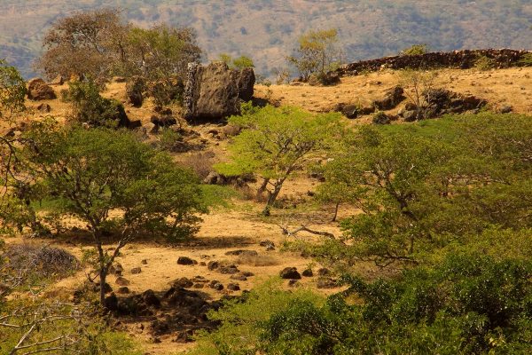 Barichara to Guane, Colombian Highlands Tours (9) Barichara to Guane, Colombian Highlands Tours (9)