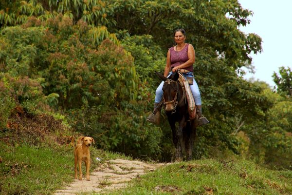 Guadalupe Town-Las Gachas Stream-Colombian-Highlands-Tours Colombia (1)