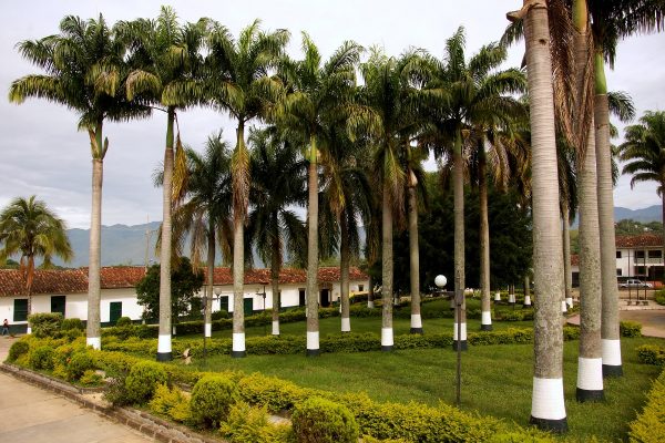 Guadalupe Town-Las Gachas Stream-Colombian-Highlands-Tours Colombia (20)