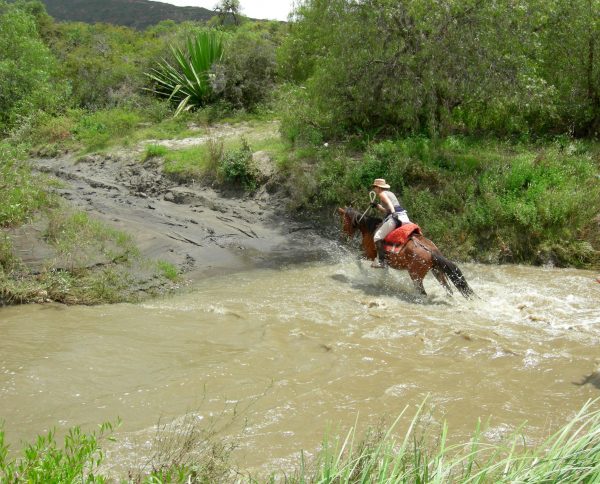 Horse Backriding at Villa de Leyva, Desert (3) Horse Backriding at Villa de Leyva, Desert (3)