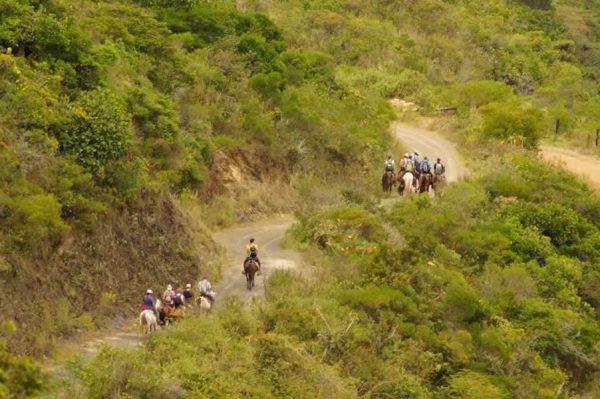 North-East-Andes-with-Colombian-Highlands-41