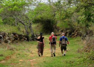 Barichara's Indigenous and Royal Trails