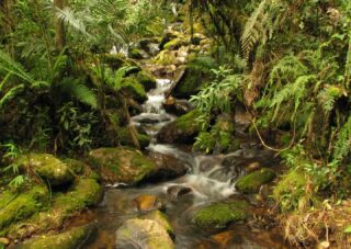 BACHUE TRAIL "Sacred Lagoon of Iguaque"