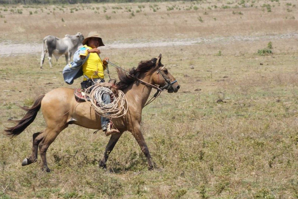 Cowboy in Casanare. Plains-of-Colombia-with-Colombian-Highlands-11-1024×683