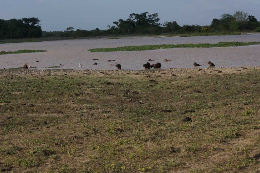 Hato La Aurora, Casanare. Plains-of-Colombia-with-Colombian-Highlands-19-1024×683