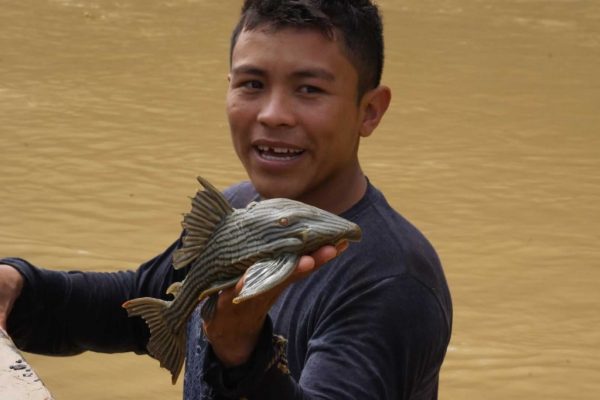 Montañas del Totumo, Casanare. Plains-of-Colombia-with-Colombian-Highlands-32-1024×683