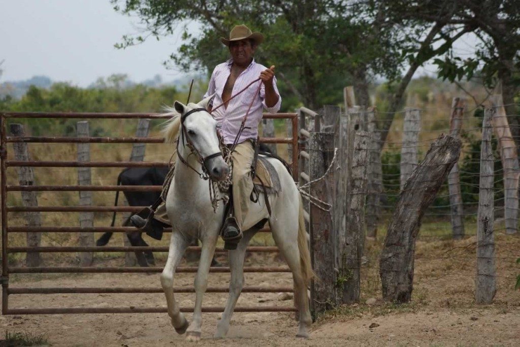 Cowboy Paz de Ariporo, Casanare. Plains-of-Colombia-with-Colombian-Highlands-34-1024×683