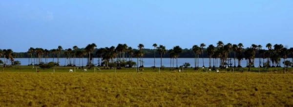 El Lagunazo, Casanare. Plains-of-Colombia-with-Colombian-Highlands-55-1024×373