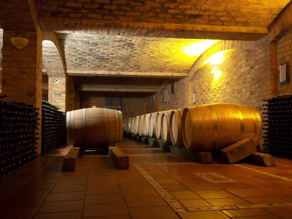 Viñedo-en-Villa-de-Leyva-2