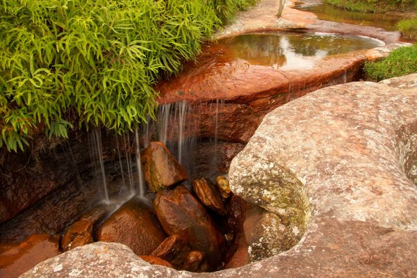 Quebrada Las Gachas, Guadalupe. Santander. Colombian Highlands 2