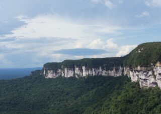 Discover the sacred amazon jungle
