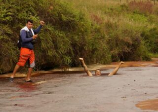 Guadalupe, Las Gachas. Whit Colombian Highlands (2)
