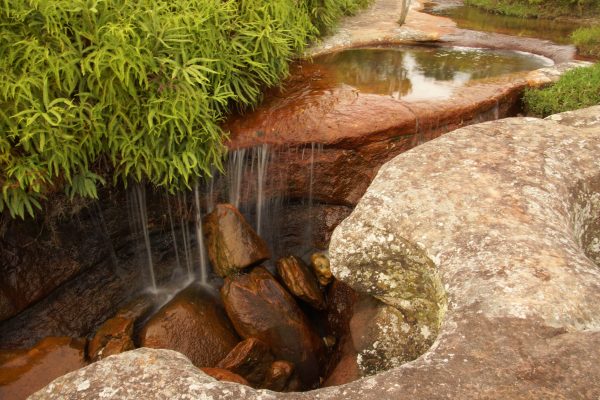 Guadalupe, Las Gachas. Whit Colombian Highlands (3) Guadalupe, Las Gachas. Whit Colombian Highlands (3)