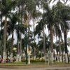 Bucaramanga City Center. Tour Colombia (4)