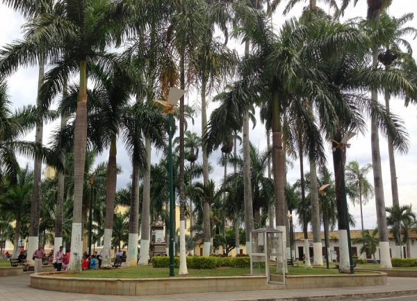 Bucaramanga City Center. Tour Colombia (4)