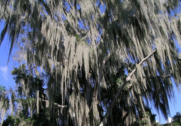 San Gil – Gallineral Park – Colombian Highlands – Tours Colombia (1)