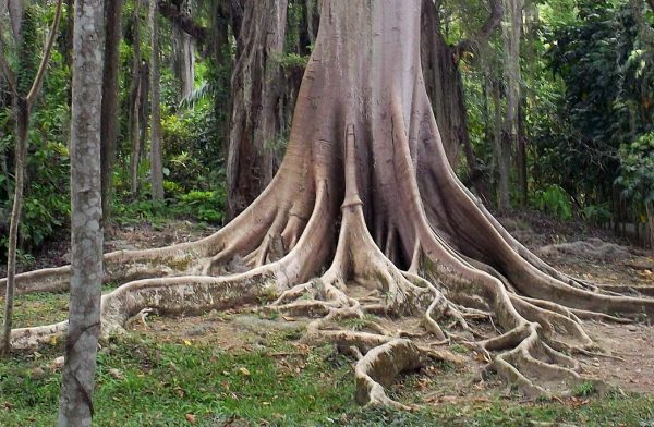 San Gil – Gallineral Park – Colombian Highlands – Tours Colombia (10)