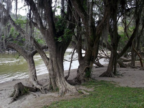 San Gil – Gallineral Park – Colombian Highlands – Tours Colombia (12)