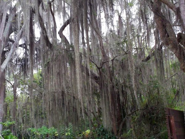 San Gil – Gallineral Park – Colombian Highlands – Tours Colombia (13)