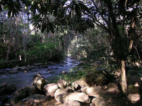 San Gil – Gallineral Park – Colombian Highlands – Tours Colombia (4)