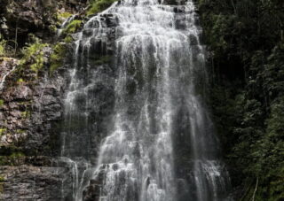 Fog Tour. Los Tucanes Nature Reserve