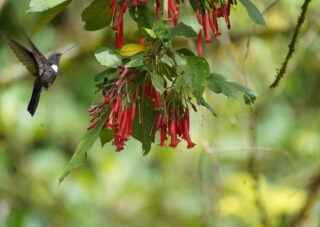 Rogitama Nature Reserve
